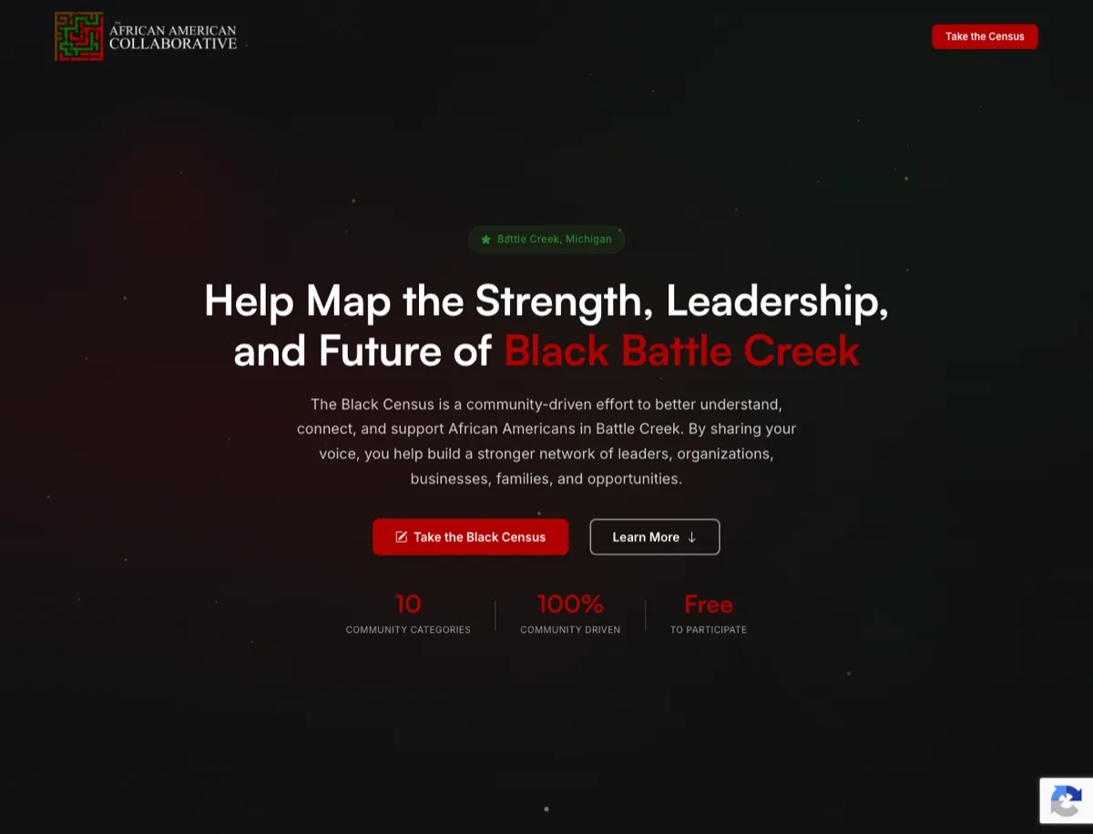 The Black Census BC website